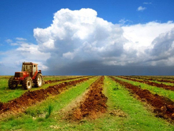 The number of transactions of agricultural land buy and sell has  decreased for 1% during a year