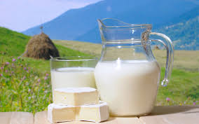 An interdepartmental commission will be set up in Armenia to study  problems related to milk purchases