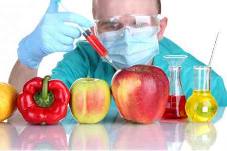 Deputy Minister: Armenia plans to legally ban GMO seeds import 