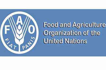 Представители FAO и Минэкономики Армении обсудили воздействие COVID-19 на сельское хозяйство