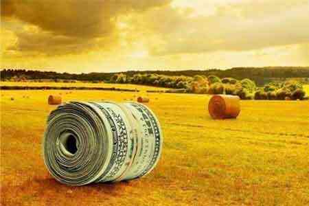 Analysts predict a further increase in agrocredit and lower interest  rates on them