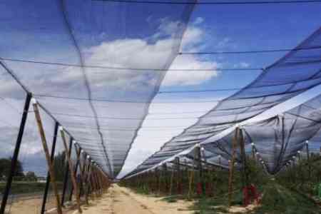 Enterprise producing anti-hail nets commissioned in Vanadzor