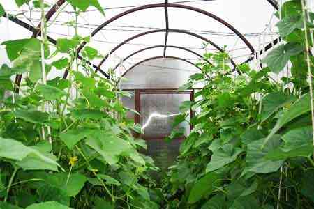 In a month world`s largest semi-closed greenhouse will be  commissioned in Armenia 