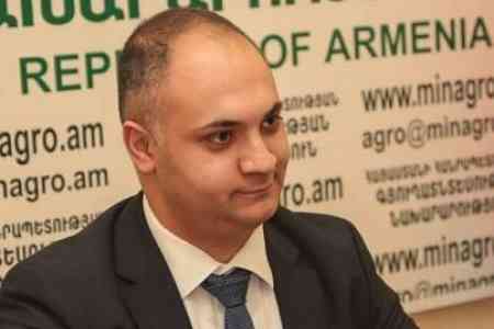 First Deputy Minister of Agriculture of Armenia: The state should  speak the same language with the producer and business