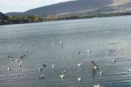 В оросительных целях из озера Севан выпущено свыше 111 млн. кубометров воды