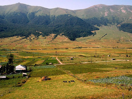 В Армавирской области Армении планируется производство душистого гераниевого эфирного масла
