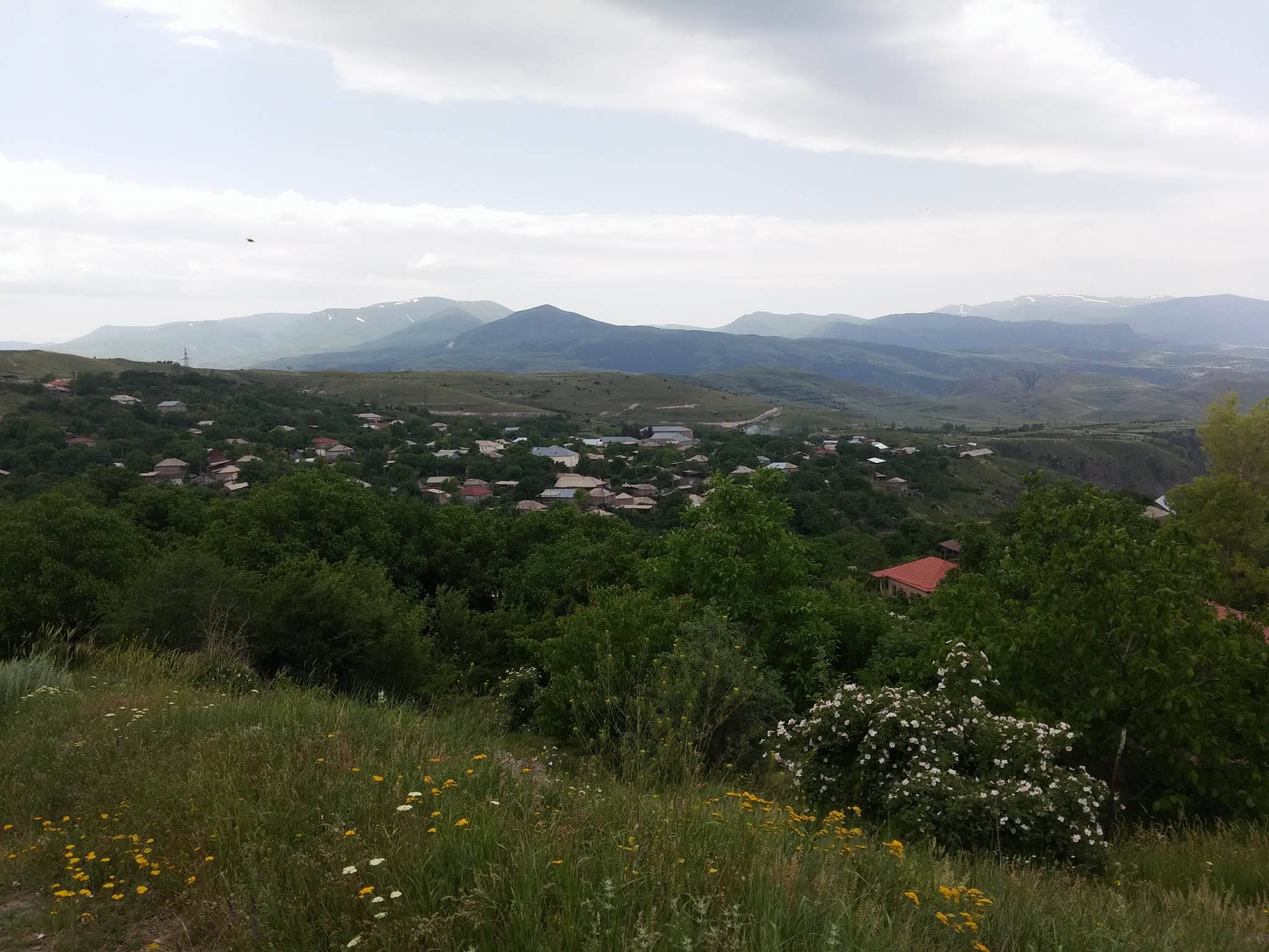 Представители ФАО в Минсельхозе отметили необходимость увеличения общей площади лесного фонда Армении