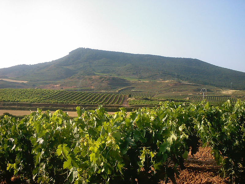 Винодельческая компания "Ван Севан" инвестирует в расширение производства 150 млн драмов