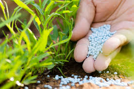 RA Ministry of Agriculture offers domestic producers help in replacing imported fertilizers with local organic analogues