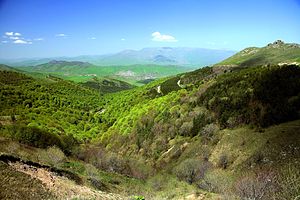 Серж Саргсян призвал начать работу в направлении создания единой системы управления лесными ресурсами Армении