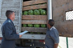 RA Ministry of Agriculture: 95% of Armenian exports of horticultural crops fall to the Russian market