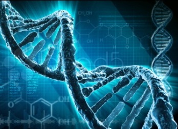 Scientific and practical seminar "DNA sequencing technologies and  their practical application" will be held in Yerevan.