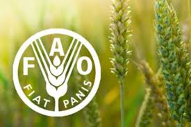 Armenia and FAO will sign an agreement on expanding cooperation