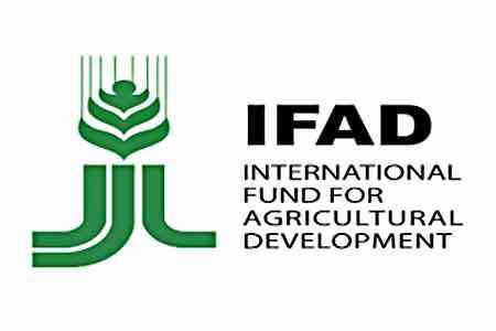 IFAD confirms its readiness to develop and implement new joint programs with Armenia`s Agriculture Ministry