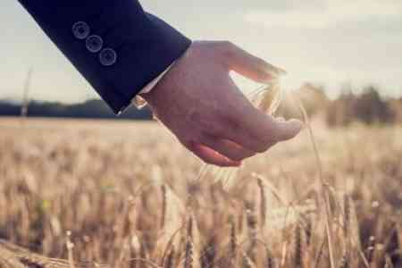 Armenian government has revised number of programs implemented in  agricultural sector