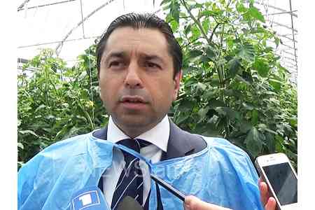 Representative of "Spayka" company: The arrest of the company`s  director put an end to the implementation of the largest agricultural  program in Armenia