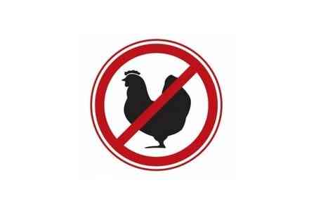 Since May 17, import of poultry meat from Stavropol and Krasnodar is  banned in Armenia