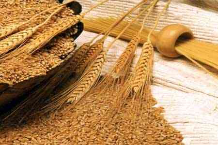 Armenia`s wheat demand is 377,000 tons 