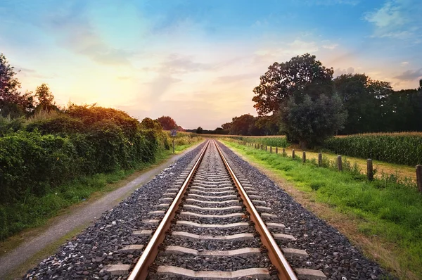 Prime Minister: Activities on designing railway through Armenia  commenced