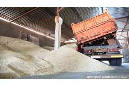 Свыше 99% пшеницы, кукурузы и муки Армения закупает у России