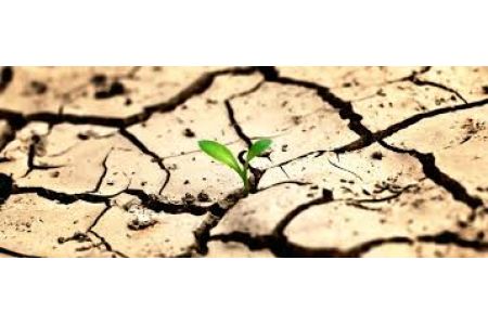 Аналитик: около 50% пахотных земель в Армении не обрабатываются, в результате чего значительная их часть находится под реальной угрозой опустынивания