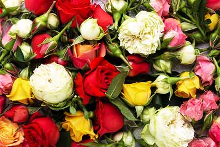 Армения в разы нарастила экспорт цветов  - замминистра экономики