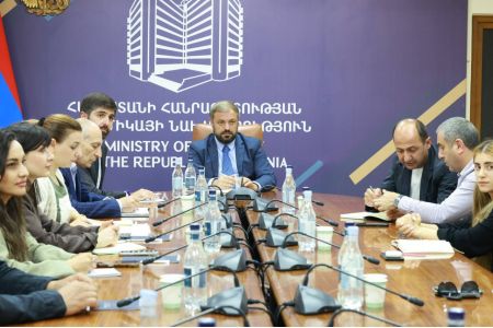 В Минэкономики обсудили возможности совершенствования инструментов господдержки в сфере тепличных хозяйств