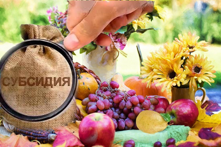 Հայաստանի իշխանություններն ընդլայնել են արտահանողների սուբսիդիաներն այն ապրանքների գծով, որոնց ներմուծումը Ռուսաստան սահմանափակված է